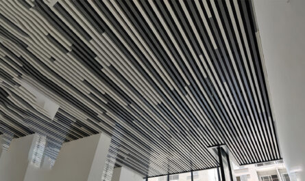 Extensive Review on the Scientific Advantages of Metal Ceilings