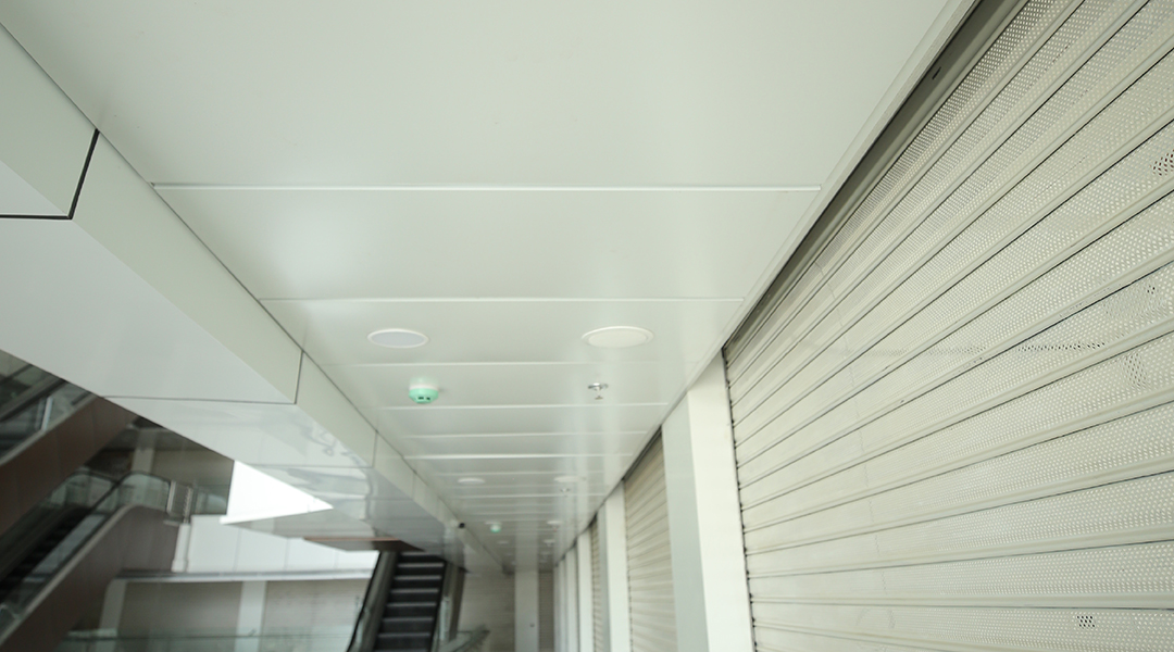 Suspended Ceiling Systems