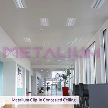 Metalium Project